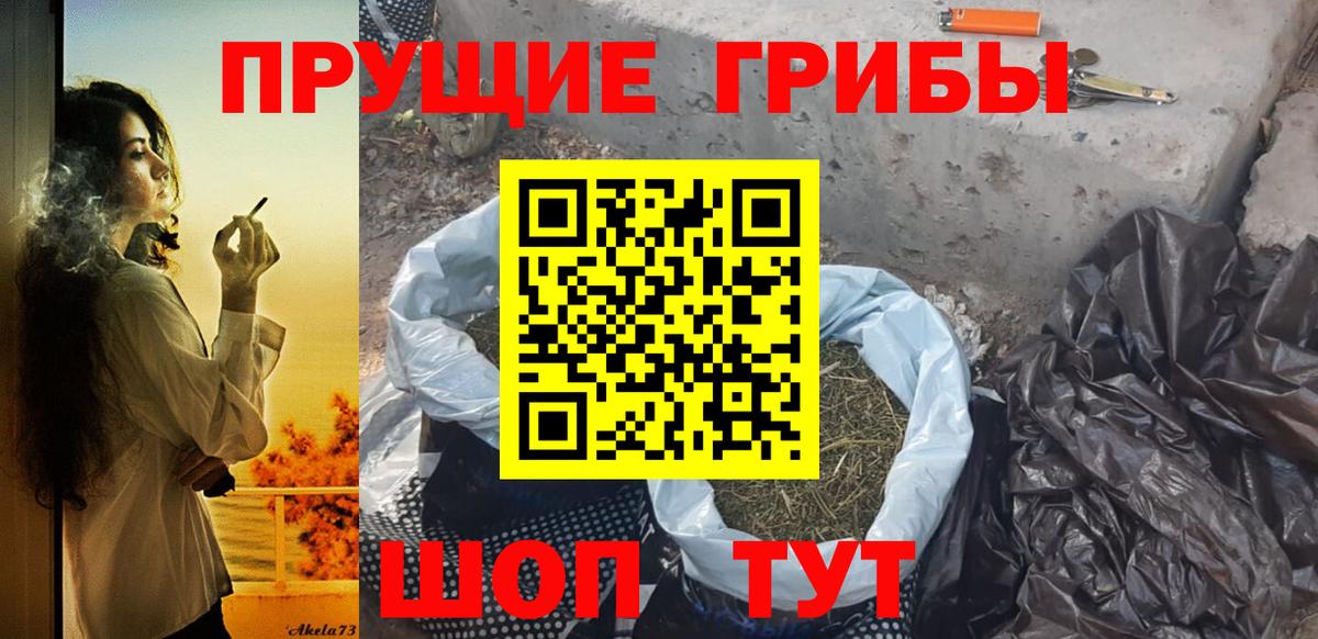 Псилоцибиновые грибы ЛСД  наркотики  Россия  Вход с VPN 